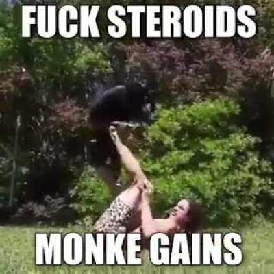Monke training