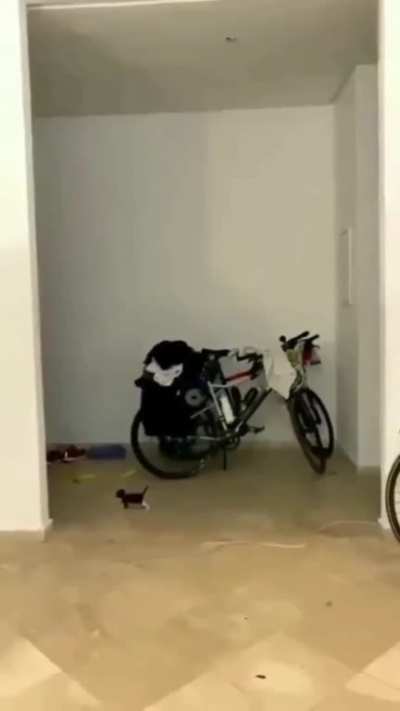 wait for me i got little legs
