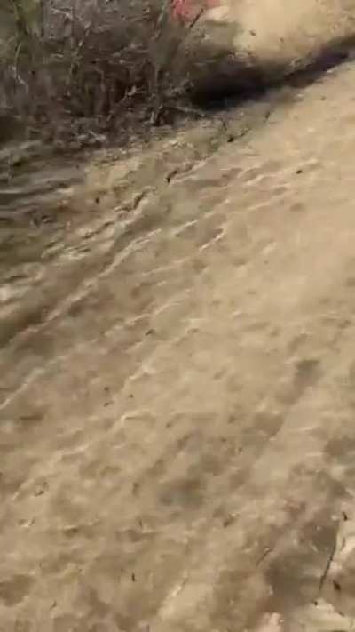 Slow down !