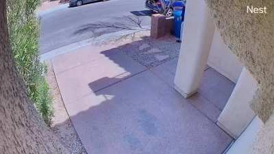 Man from HOA throws my door decoration away