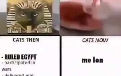 Melon