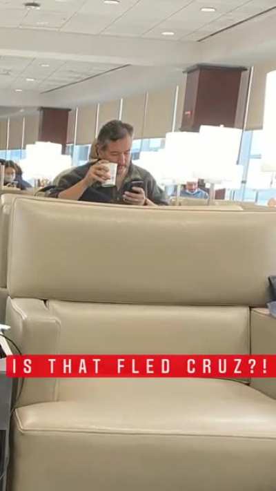 Ted Cruz SuS