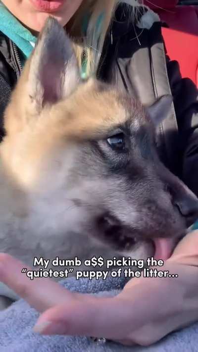 HuskÆÆÆÆÆ