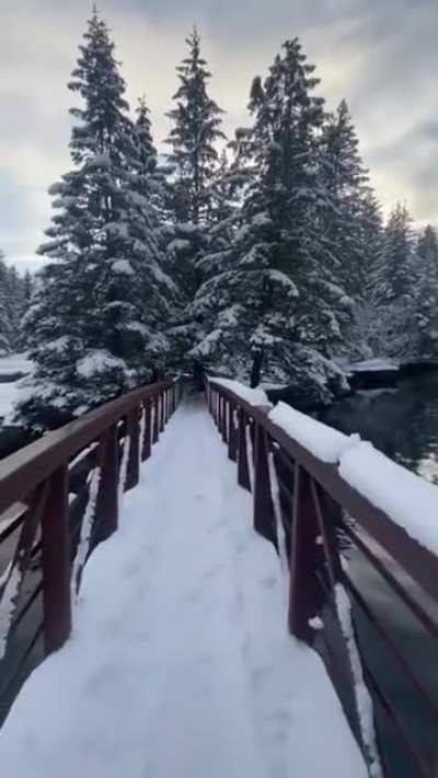 Beautiful nature sightseeing of Alaska.