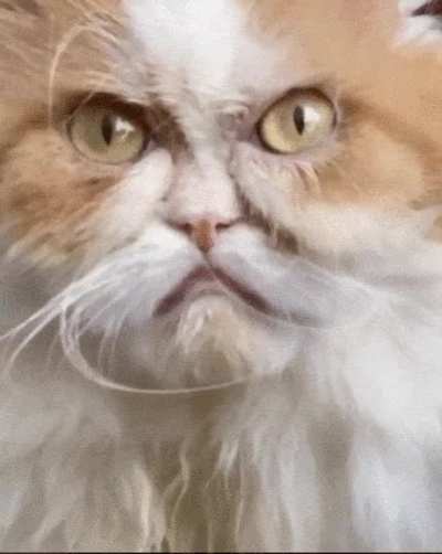 Этот взгляд!