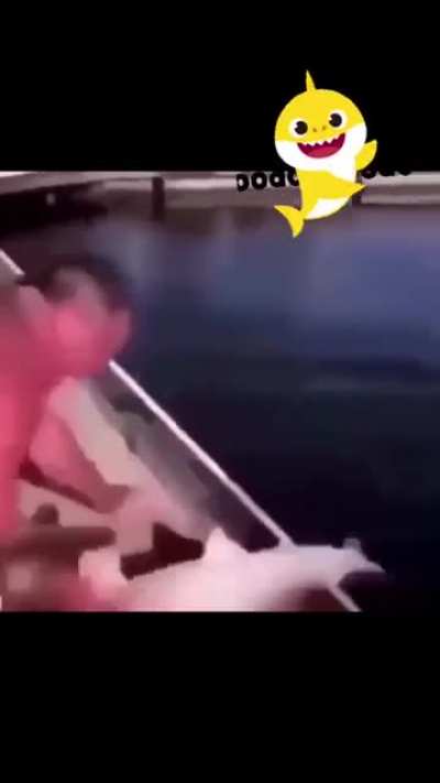 baby shark
