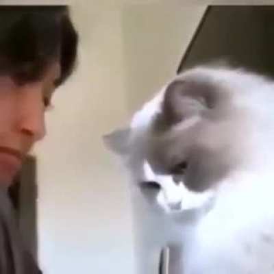 Maybe maybe maybe