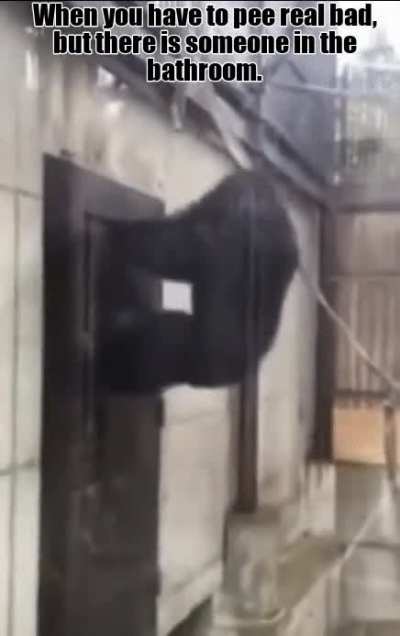 Open it! Open the damn door!