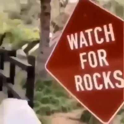 Apreciem crianças