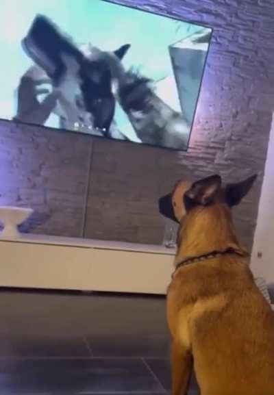 I'd be nervous too