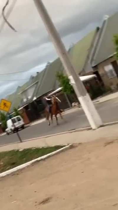 El más vio de Temuco: