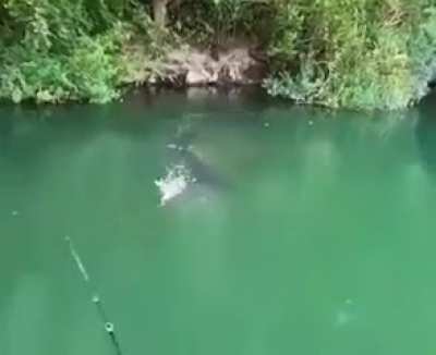 The fisherman was captured