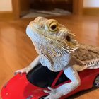 Mr steal yo girl