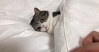 When someone wants to get me out of bed