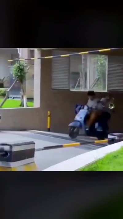 Super bikes