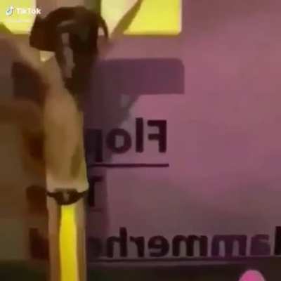 sorry if this is a repost