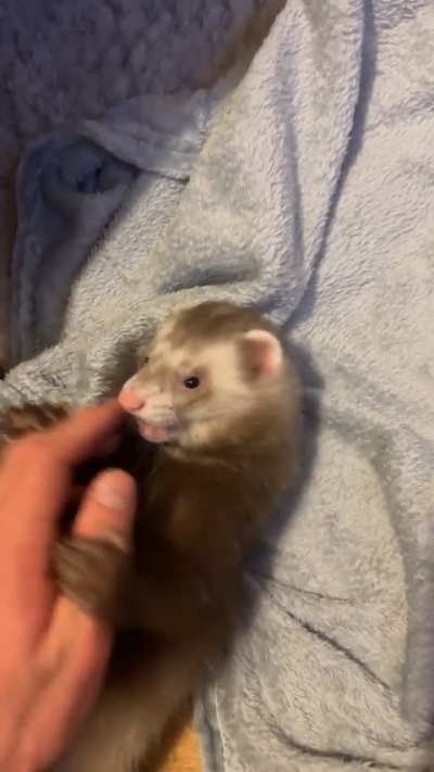 He likes it, right?
