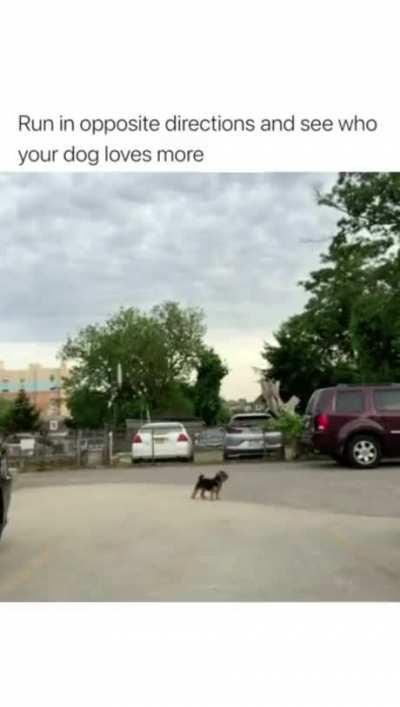 Good boi took the best decision