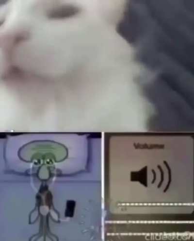 Dinogang