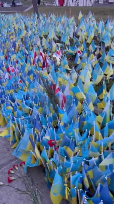One Ukrainian woman’s message to trolls/ disbelievers