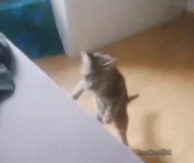 D: