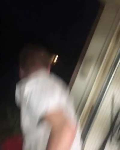 To Kill a Wasp...