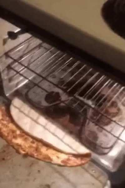 Well that sucks