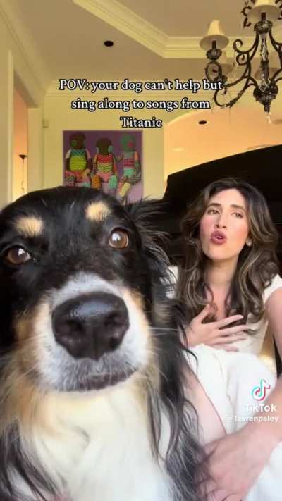 Dog Melodically Howls titanic with his Opera Singing owner  