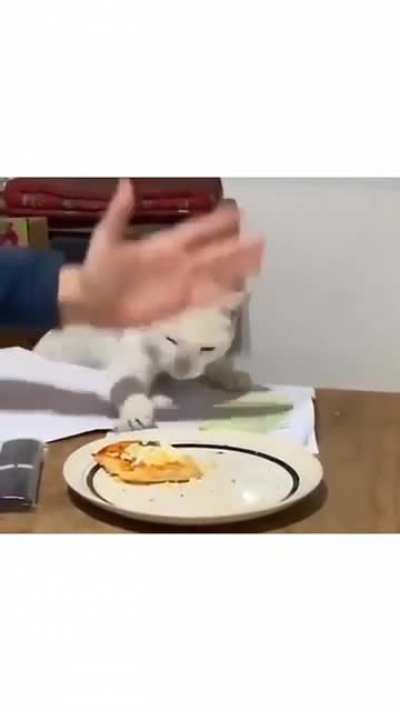 turbio 0_o