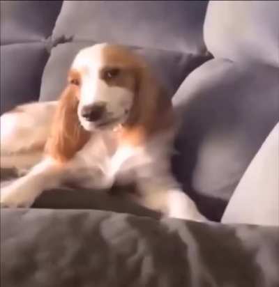 Interrupted
