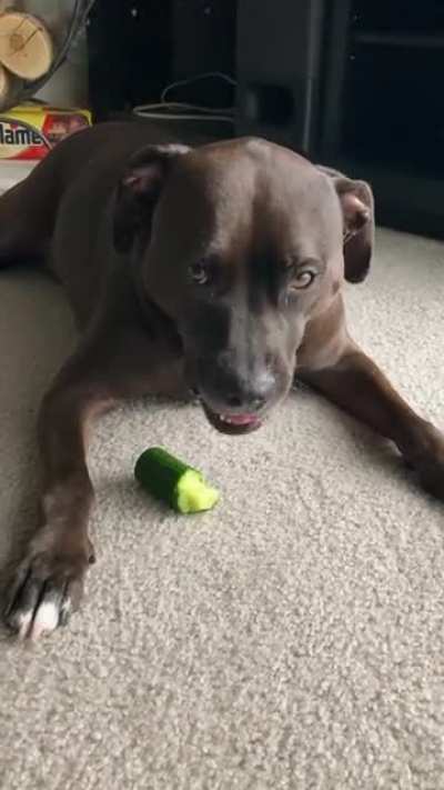 Woof irl