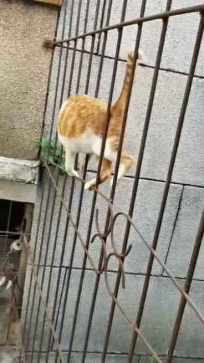 Catculating sin(y)