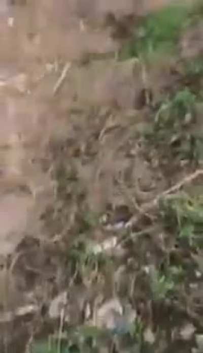 Making tiktok near tracks