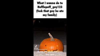THE GUBBYREDDIT-VERSE SLANDER