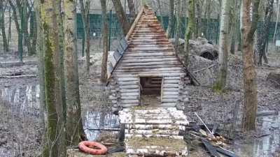 Building a cabin