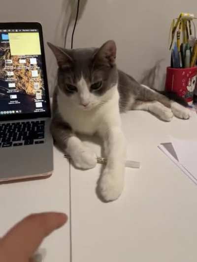 And 100th reason not to study.