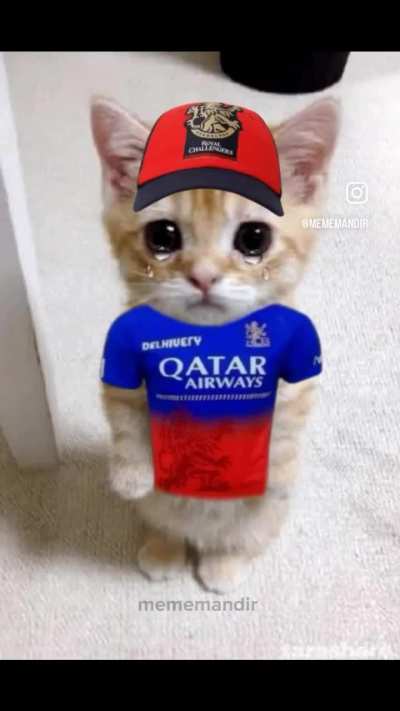 HaarCB 