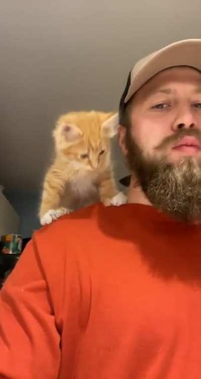 It seems I’ve adopted a parrot