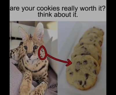 Aninterestingtitle