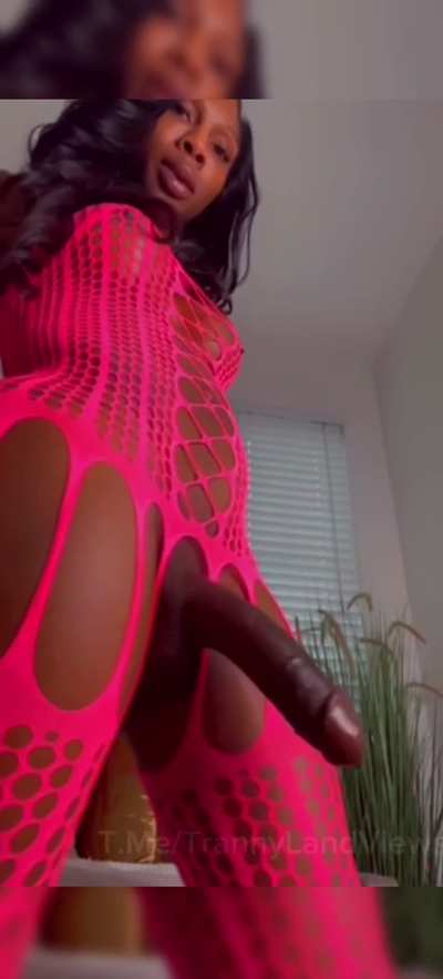 Nice views<wbr>😍🖼️ (Tranny Land) Dm to join the group ⬇️📲