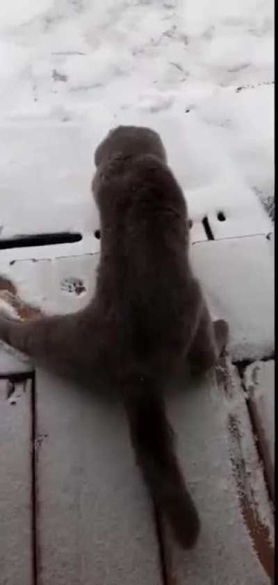 What's this slippery stuff..?