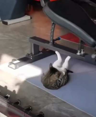 Making Gains