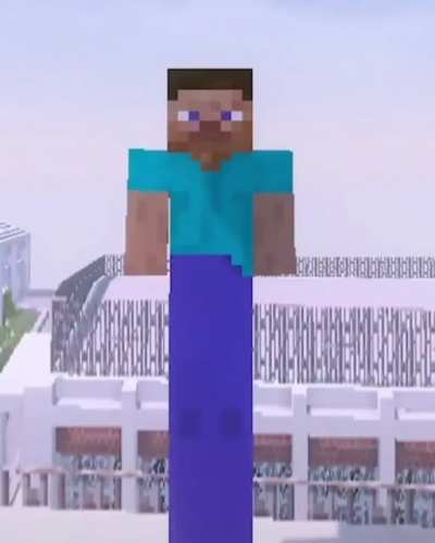 Long Steve