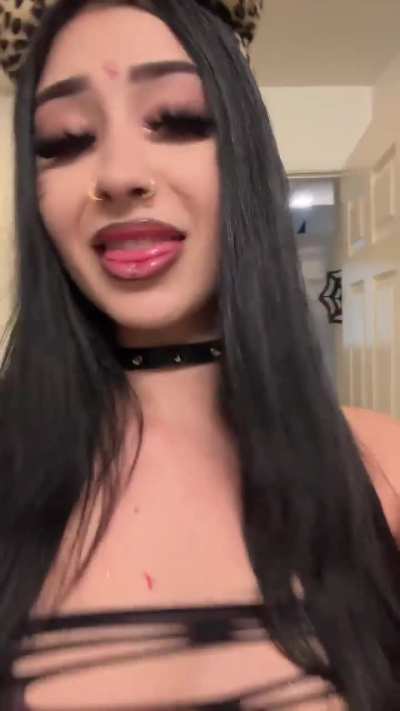 😼
