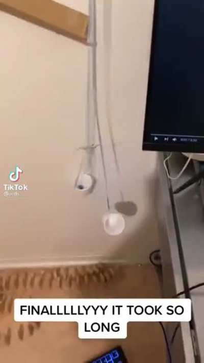 XD