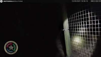 Tiger shot by police after it bites down on cleaner who entered restricted area and tried to pet or feed it