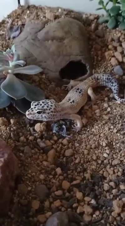 Yawn 😴