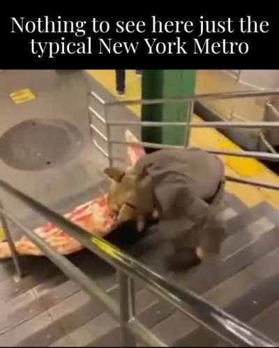 Master Splinter's getting lunch for his four Turtle sons.