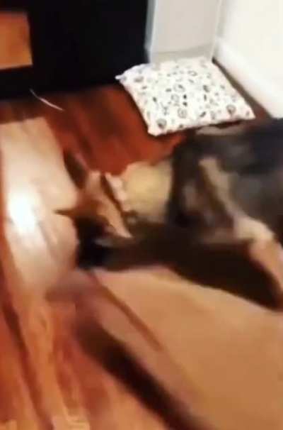 Maybe maybe maybe
