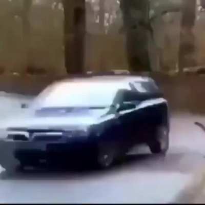Bazinga